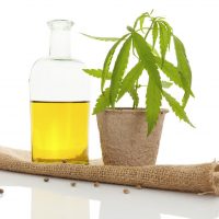 A Brief Discussion about Medical Marijuana Oil